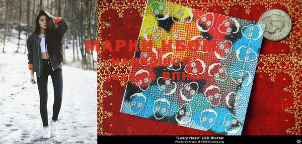 mdma Медвежьегорск