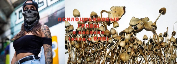 mdma Медвежьегорск